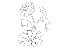 �ɻ����P���DƬ����ɫ